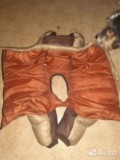 Зимний комбинезон для собаки