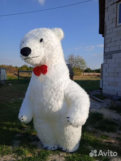 Поздравление от белого мишки