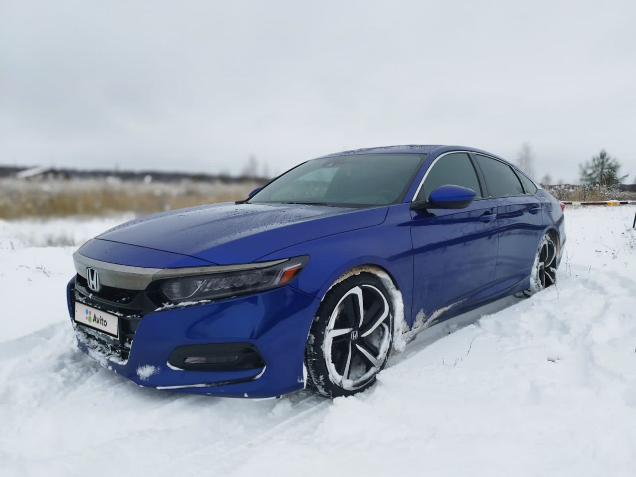 Honda Accord: фото владельца
