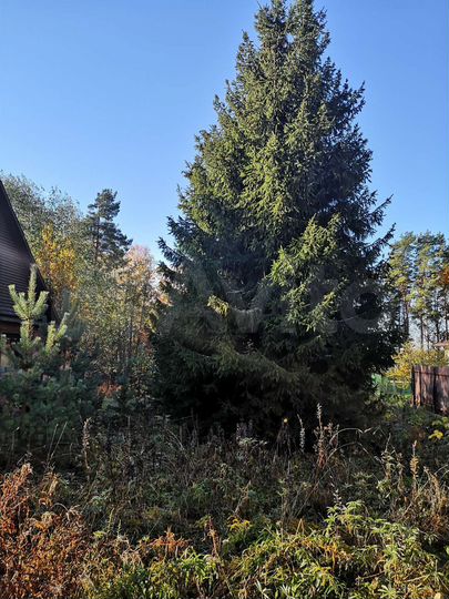 Участок 17,6 сот. (ИЖС)