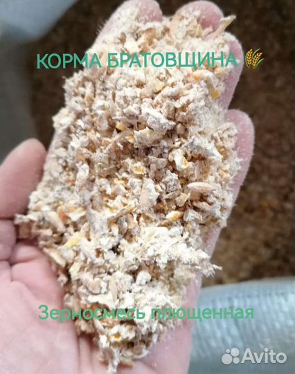 Зерносмесь плющенная