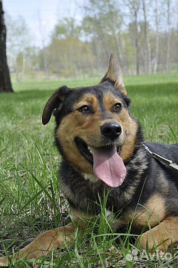 Восхитительная Лия из приюта в поисках семьи