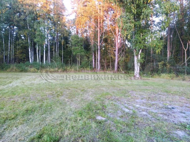 Участок 10 сот. (СНТ, ДНП)