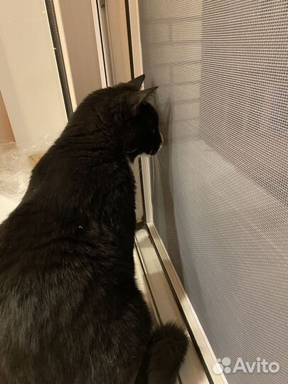 Москитные сетки Антикошка, Антипыль,Стандарт