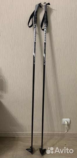Лыжные палки