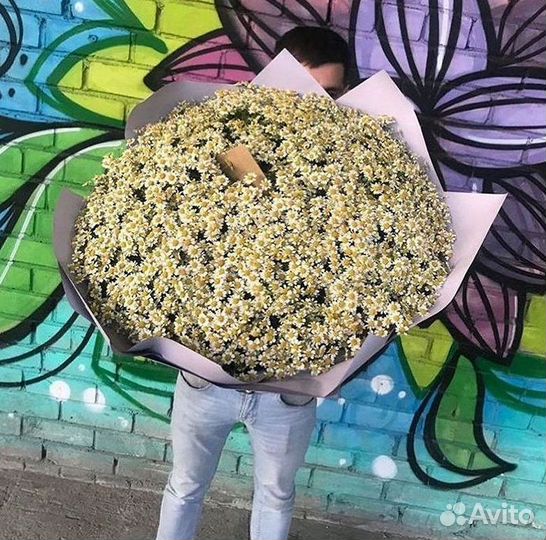 Цветы ромашки
