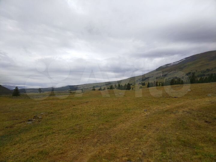 Участок 20 га (СНТ, ДНП)