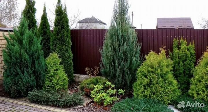 Услуги садовника