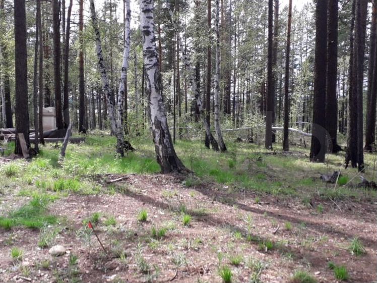 118 участок. Как огородить земли сельхозназначения. Иркутск снт пролетарий архив. 118 участок. 118 участок.