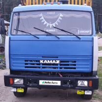 КАМАЗ 65117, 2009