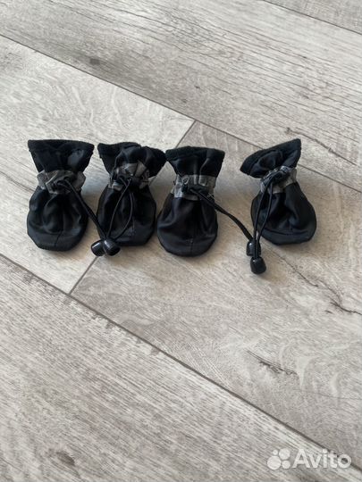 Обувь для собак