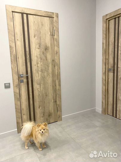 Межкомнатная дверь в дом