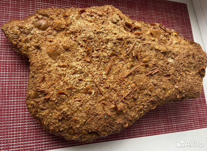 Окаменелое дно древнего моря