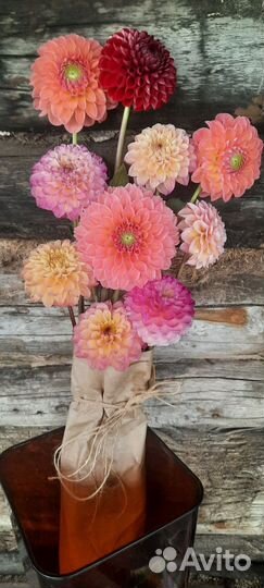 Охапки цветы, свежая срезка