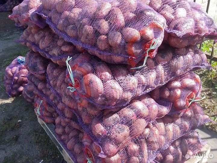 Картофель и другие овощи с доставкой