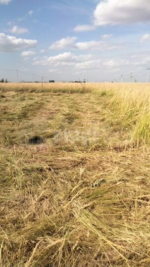 Участок 6,7 сот. (СНТ, ДНП)