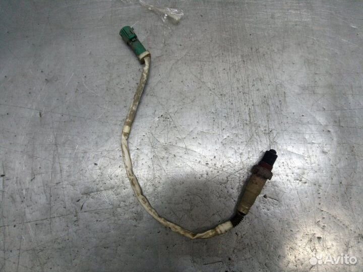 Датчик кислородный Ford Focus 3 хетчбэк 1.6 105