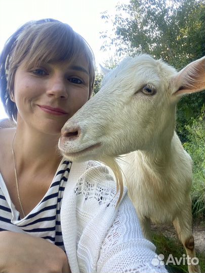 Передержка животных в частном доме