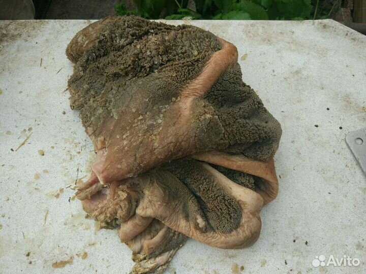 Рубец говяжий натуральный корм мясо для собак