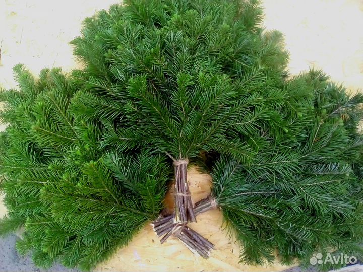 Веник для бани. Еловый. Пихтовый. Сосновый