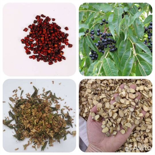 Лимонник,бархат амурский,дикоросы