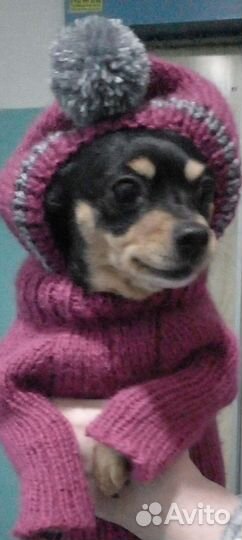 Свитерочки для собак и кошек