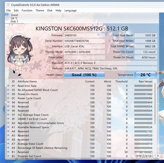 Msata SSD Kingston 512