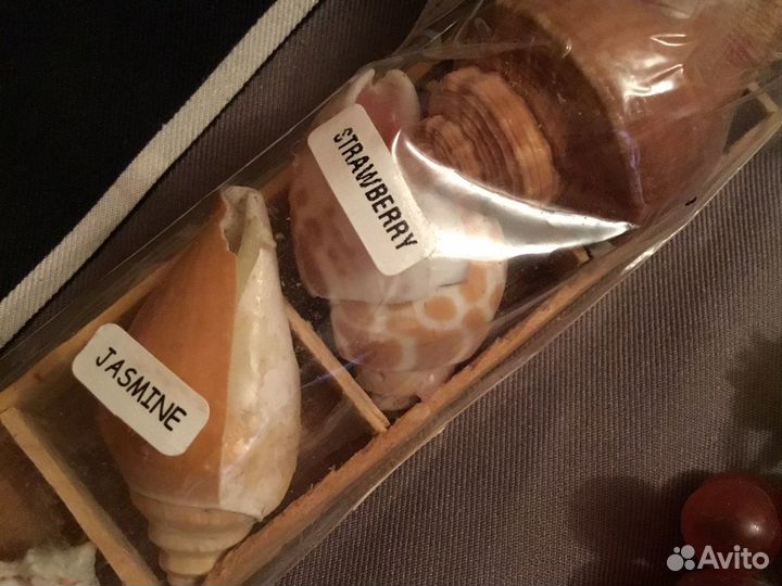 Ракушки морские набор , сувенир с юга подарок