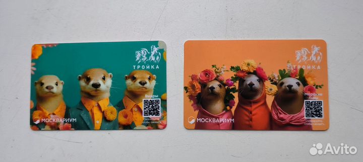 Коллекционная тройка выдры, морские котики