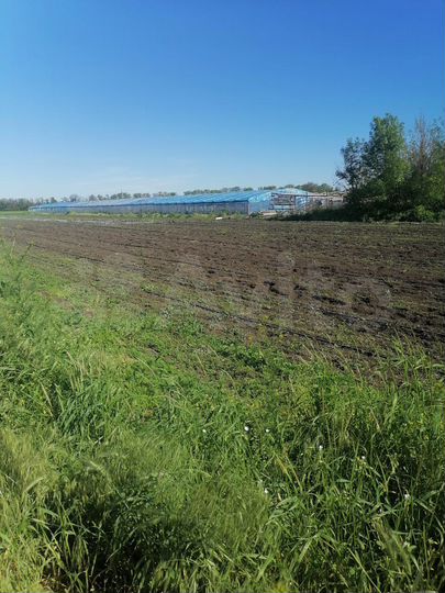 Участок 80 сот. (СНТ, ДНП)