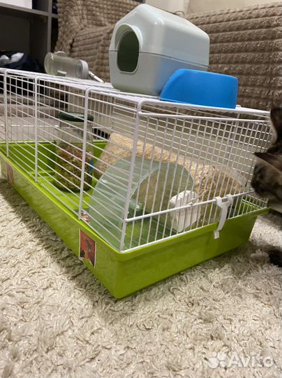 Клетка для грызунов