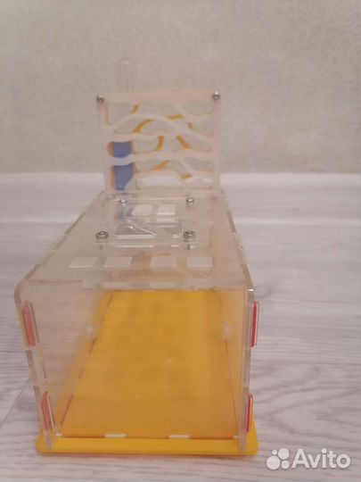 Муравьиная ферма