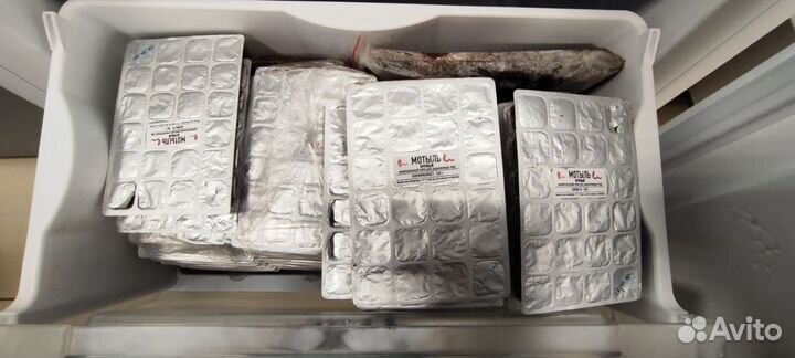 Замороженный корм для аквариумных рыб