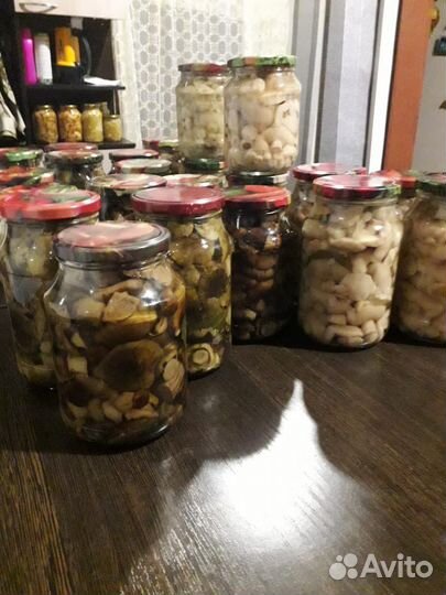 Грибы цена за 1л