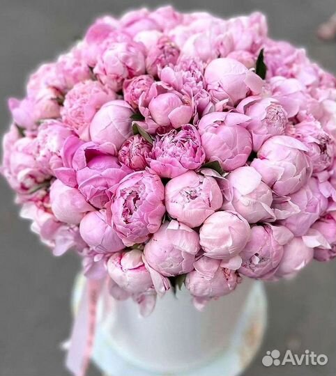 Пионы Букет пионов