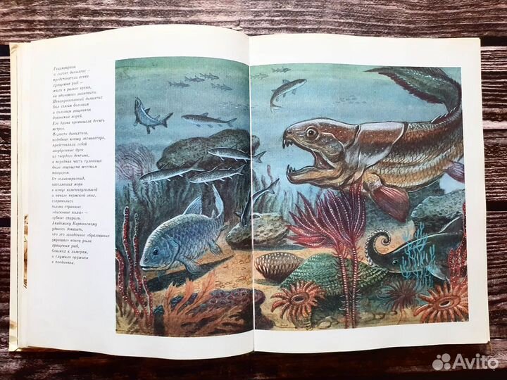 Яковлева. По следам минувшего 1983 г