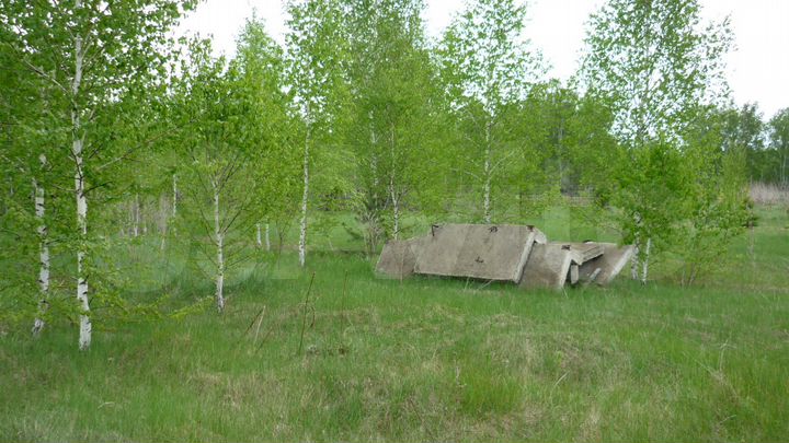 Участок 12 сот. (СНТ, ДНП)