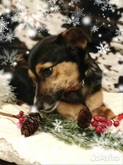 Малышке Дине нужен дом