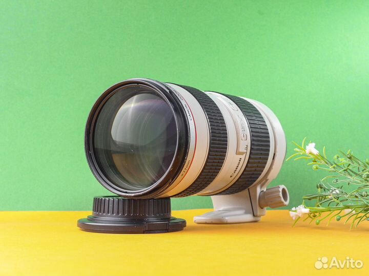 Объектив Canon EF 70-200mm f2.8L USM