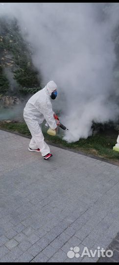 Обработка от клещей (акарицидная обработка)