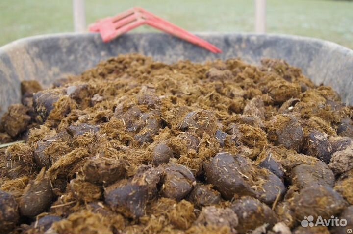 Навоз Конский Перегной гумус,Чернозем, в меш