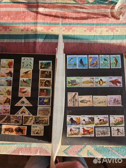 Почтовые марки мира