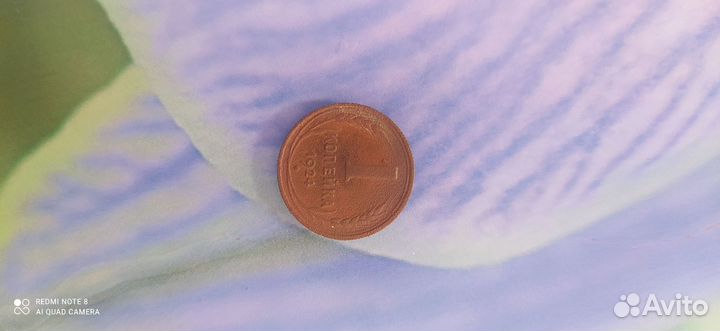 1 копейка 1924 г