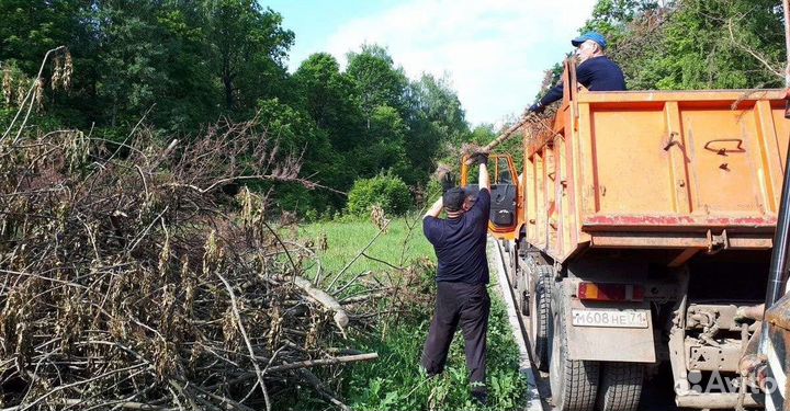 Вывоз веток