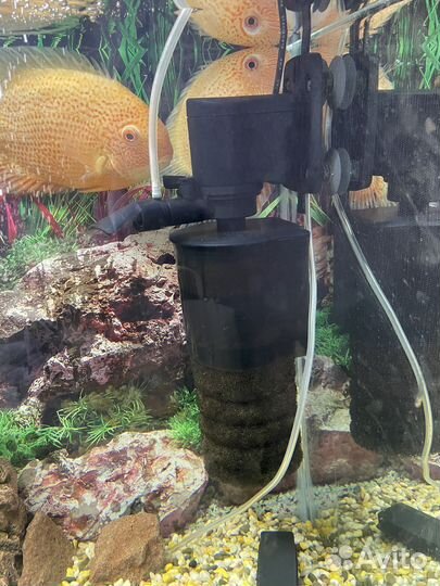 Аквариум 125 л