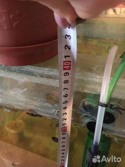 Аквариум с рыбками 100 л