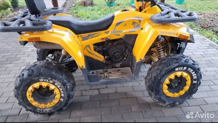 Квадроцикл Motoland Wild track X 200