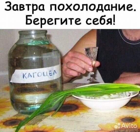 Банка