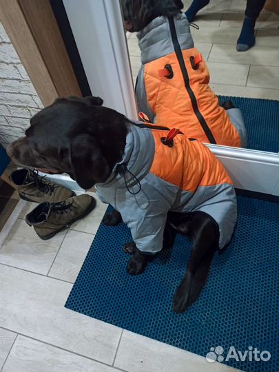 Жилетка зимняя для собак