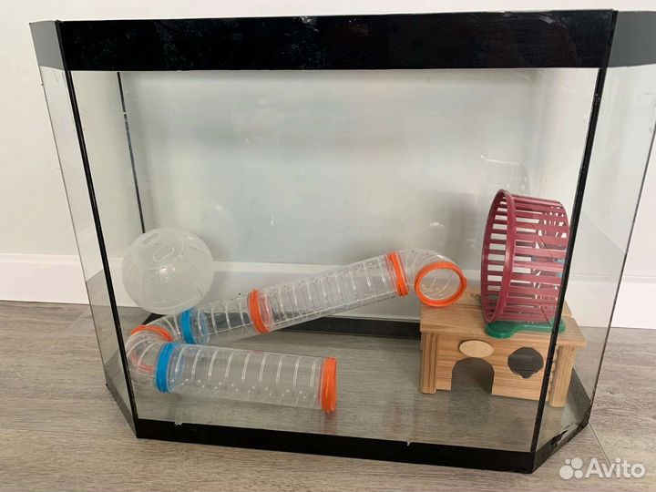 Аквариум для грызуна